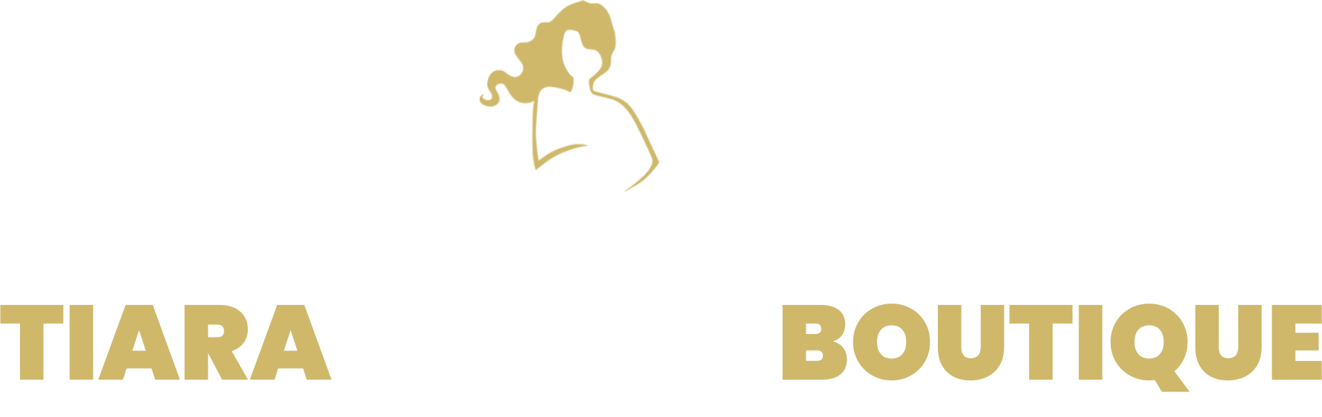 Flights N Holidays Logo